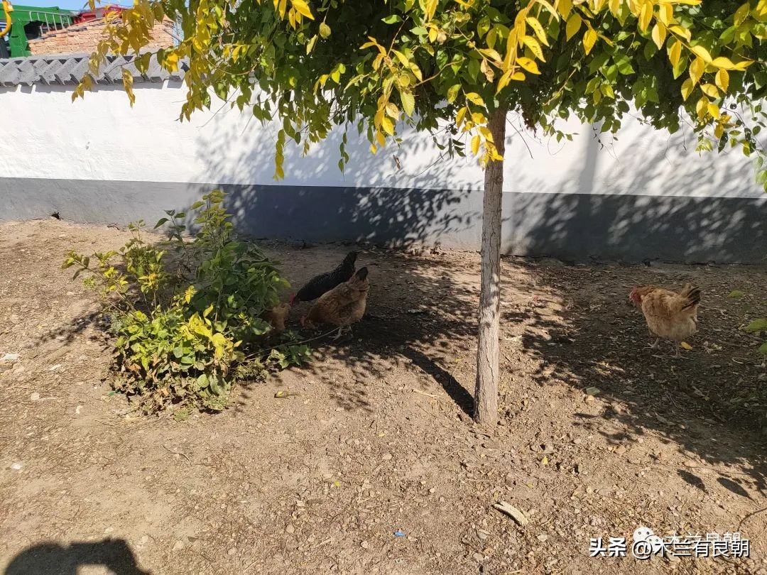 疫情虽然可怕但是我们永不畏惧,疫情依然不容小视