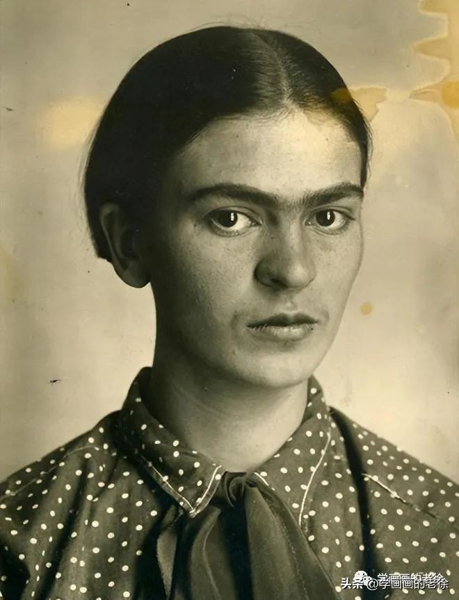 弗里达被高估了吗,弗里达资料