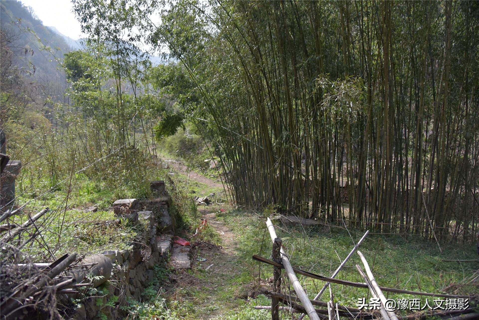 74岁大叔住深山不见人，天天跟老伴儿“捉迷藏”，买一袋盐吃半年