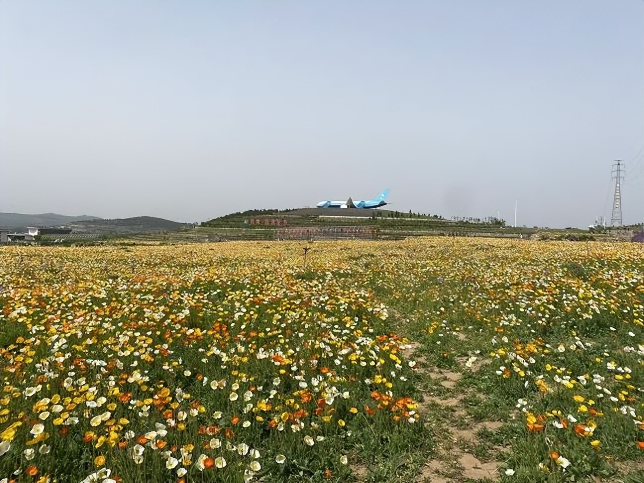 2021（山东）功能性农业·农业大健康大会解西周：芳蕾玫瑰产业