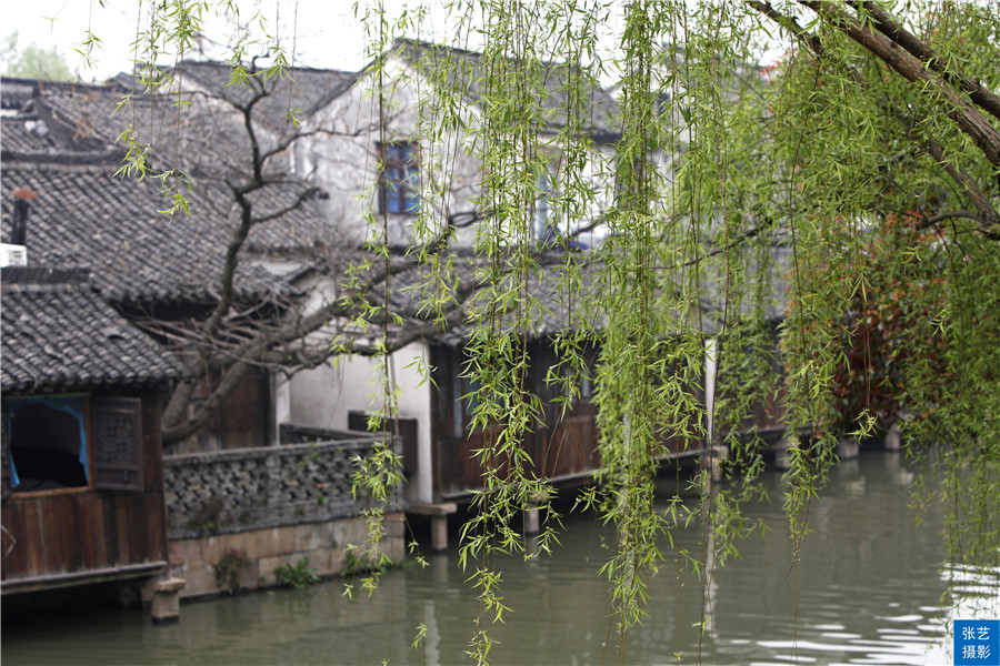江南乌镇文化简介,中国江南十大名镇最新排名乌镇