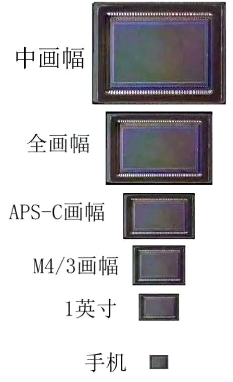 摄影新手入门用微单还是卡片机,玩转手机摄影人像教学