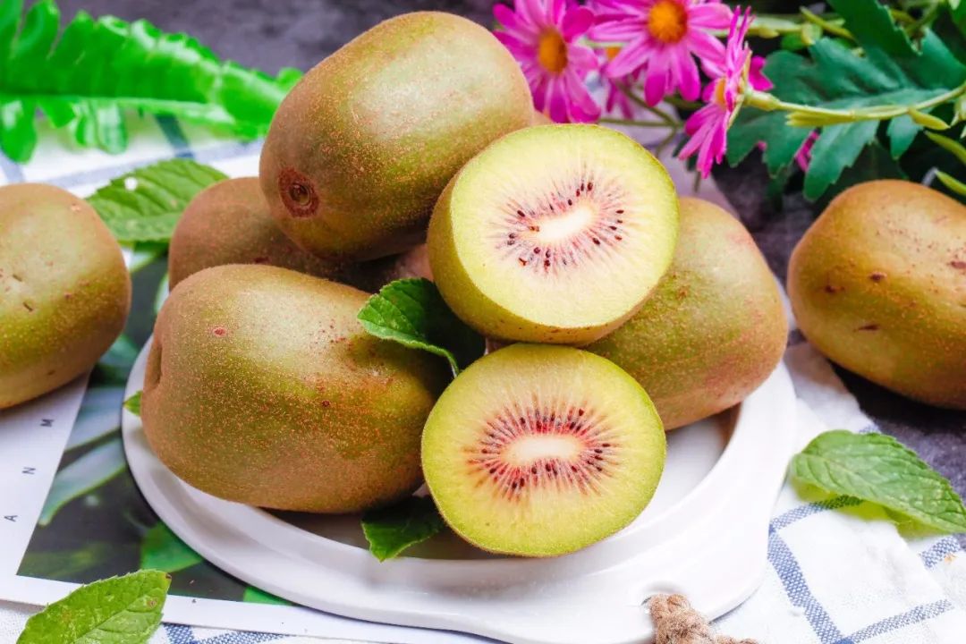 猕猴桃是天然的“长寿果”？绿心和黄心有什么区别？快来学习！