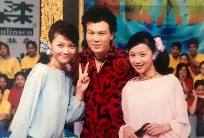 央视主持人被严查的有几人,中央电视台主持人被封杀