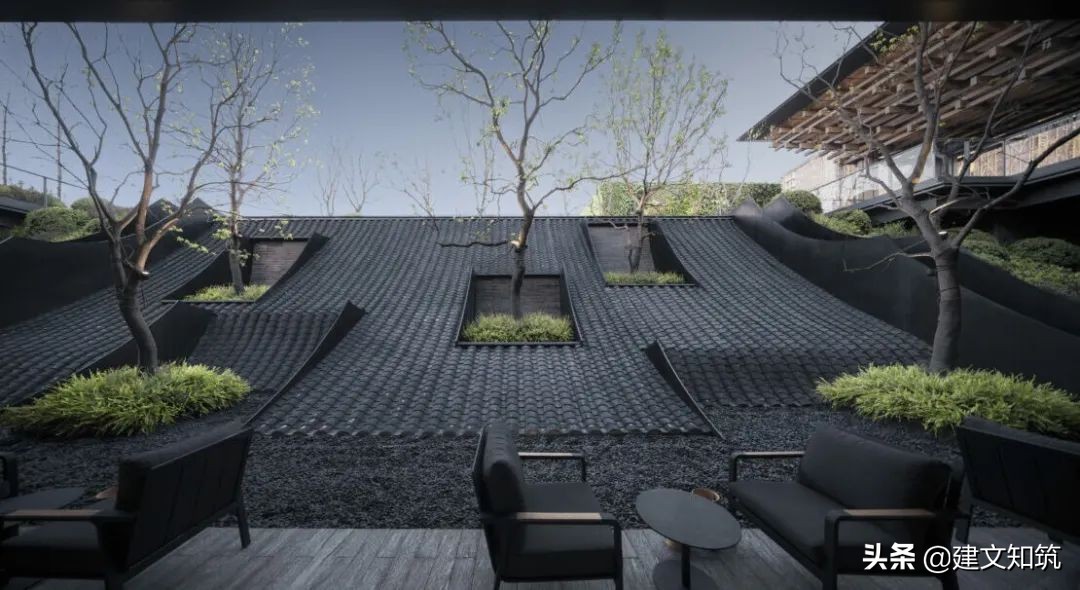 waf2023世锦赛,waf国内排名