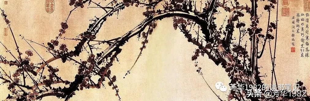 梅花图简介,历代名家梅花图