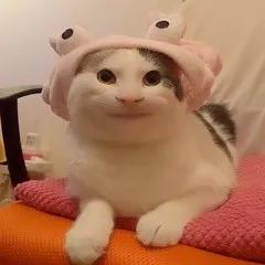 十条笑话套路深,幽默笑话17条