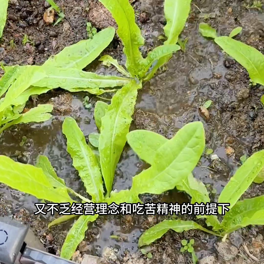 普通人不想投资创业怎么办,普通人想要创业到底该怎么做呢