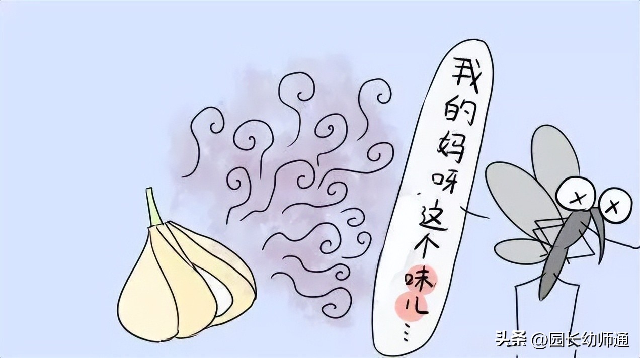 防蚊小妙招幼儿园图文,幼儿园防蚊小技巧