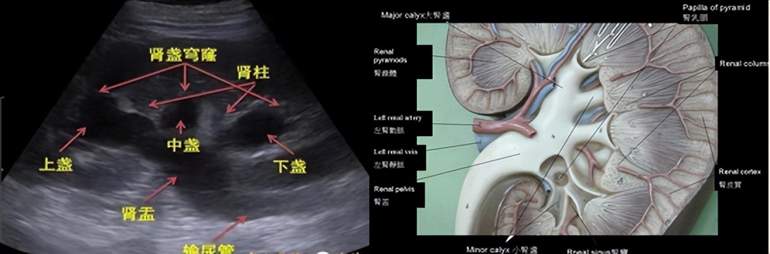 明知山有虎偏向虎山行神评论,明知山有虎偏向虎山行打一生肖