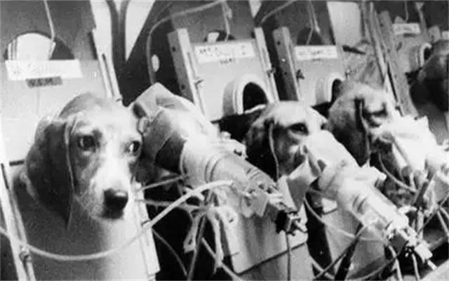 吸烟有害健康有研究证明吗,吸烟有害能证明吗