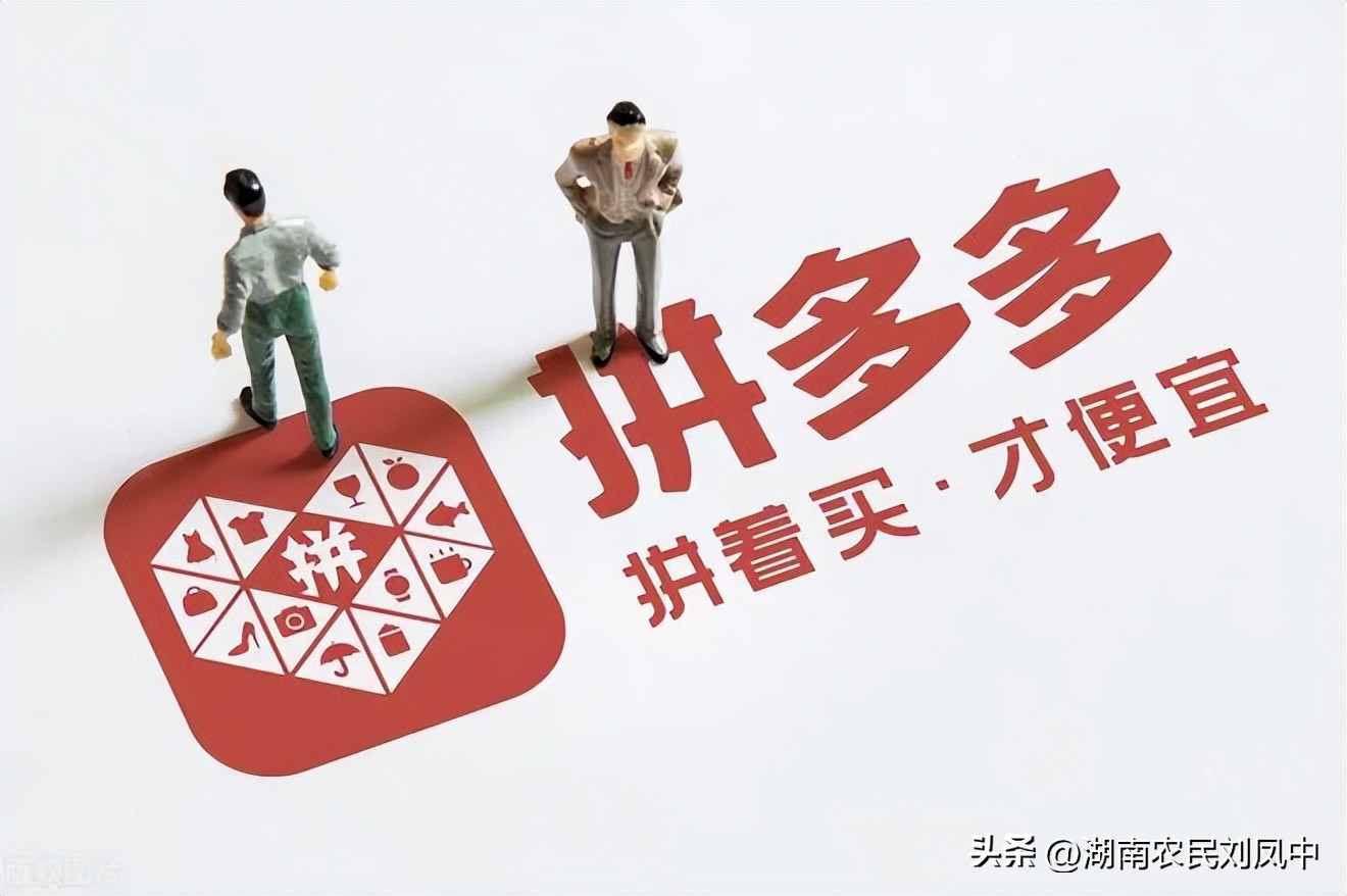 拼多多和快团团是一家的吗,快团团和拼多多谁有价格优势