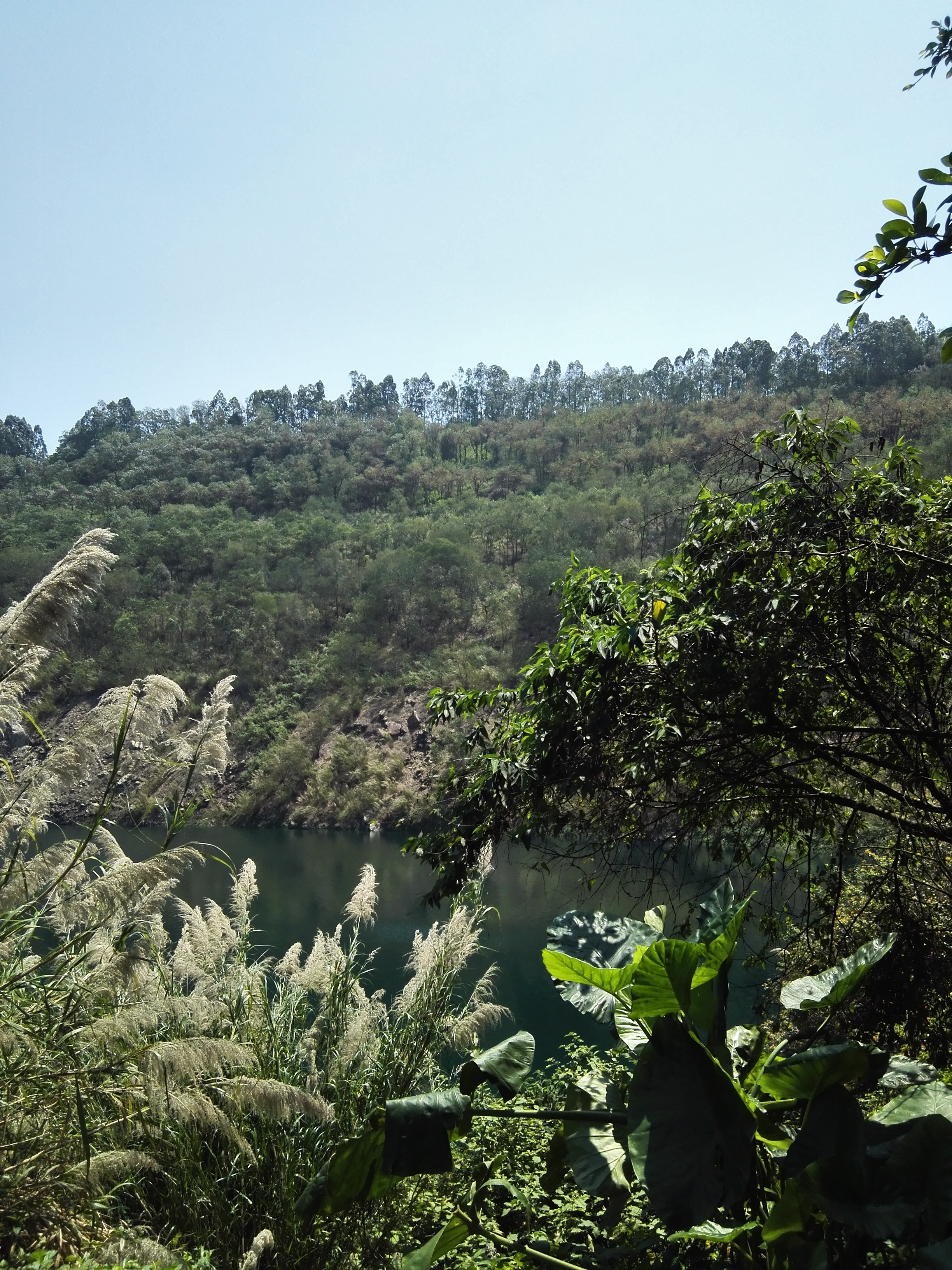 深圳平峦山公园,深圳宝安平瑾山公园图片大全