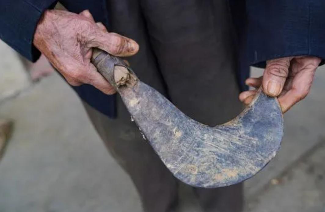 回顾贵州老人山上晨练，被杜高犬一路跟随，最终被2只杜高犬撕碎