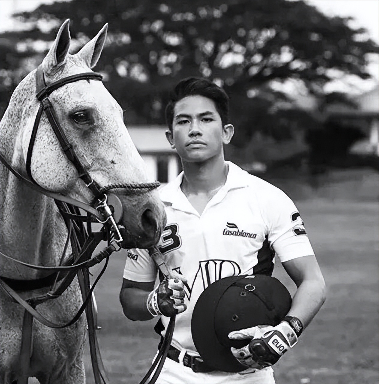 文莱王子马丁,文莱最帅王子马丁