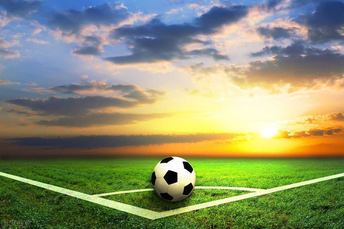 抄书打卡第10天～调侃南非世界杯