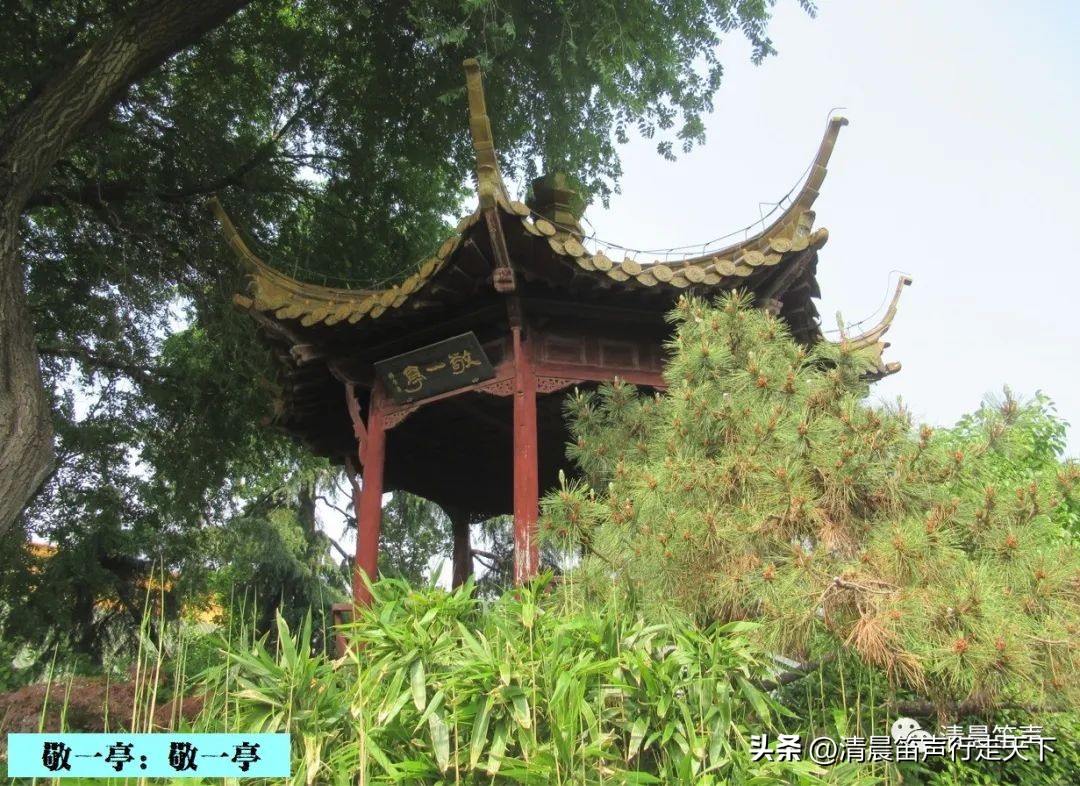 金陵拾遗,金陵拾遗博物馆