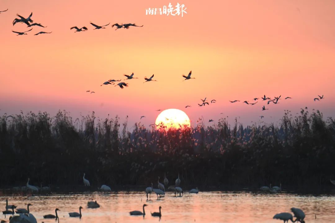 南昌的秋天文案,南昌的秋天闪闪发光