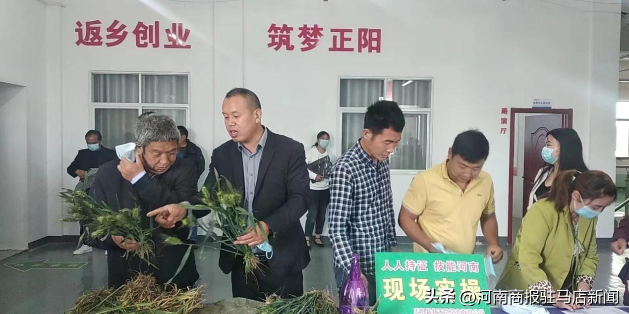 正阳助力乡村发展,正阳县致富