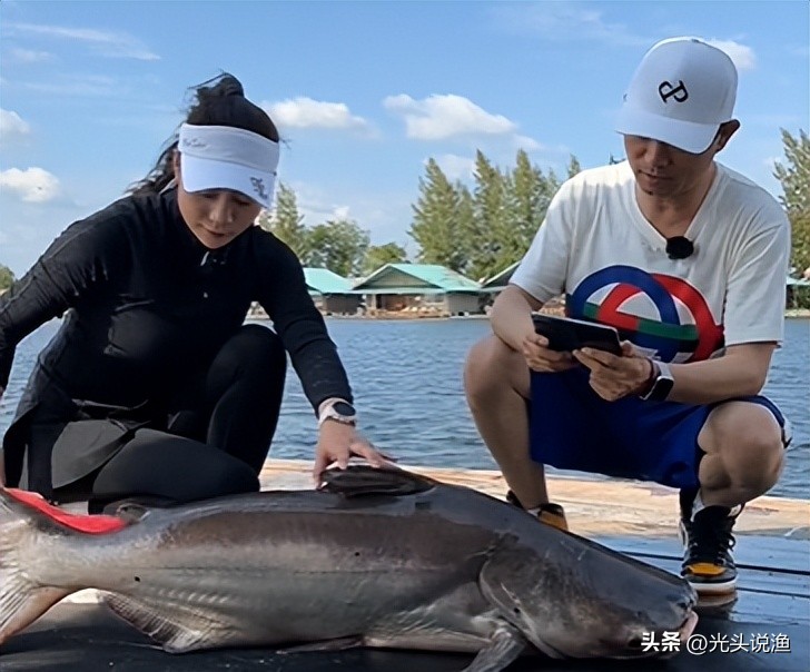 邓刚盘老板合集,邓刚盘老板的视频