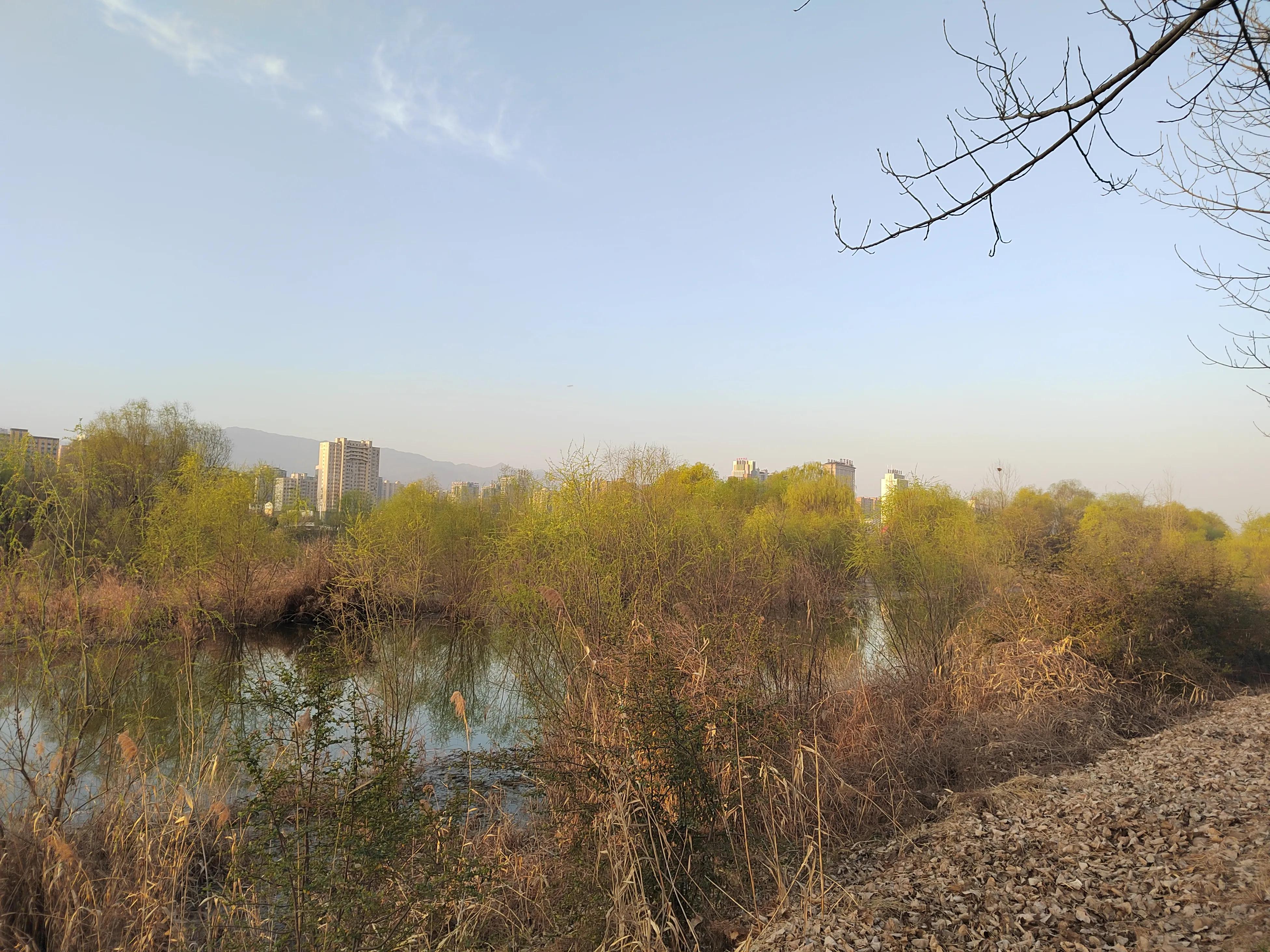 春天来了，美景再现，该踏青和锻炼身体了，为足球比赛储备体力。