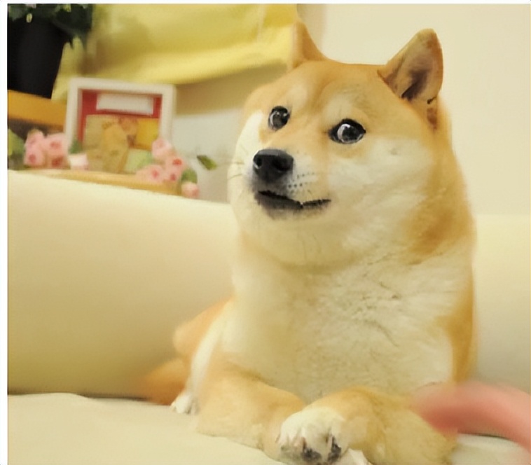 如何解决网络代理问题,网络代理怎么关闭