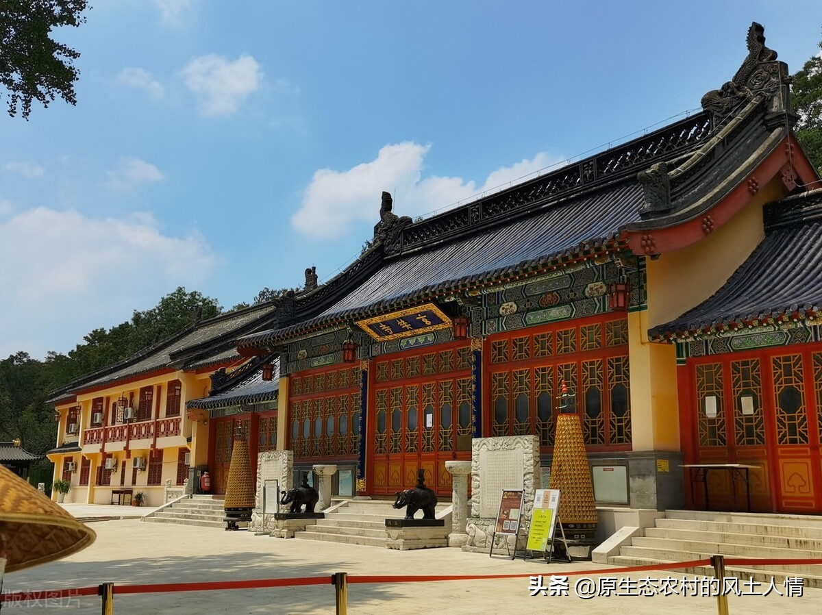 南京玄奘寺主持传真法师的“渣男”语录，“爱花不折花”，你咋看