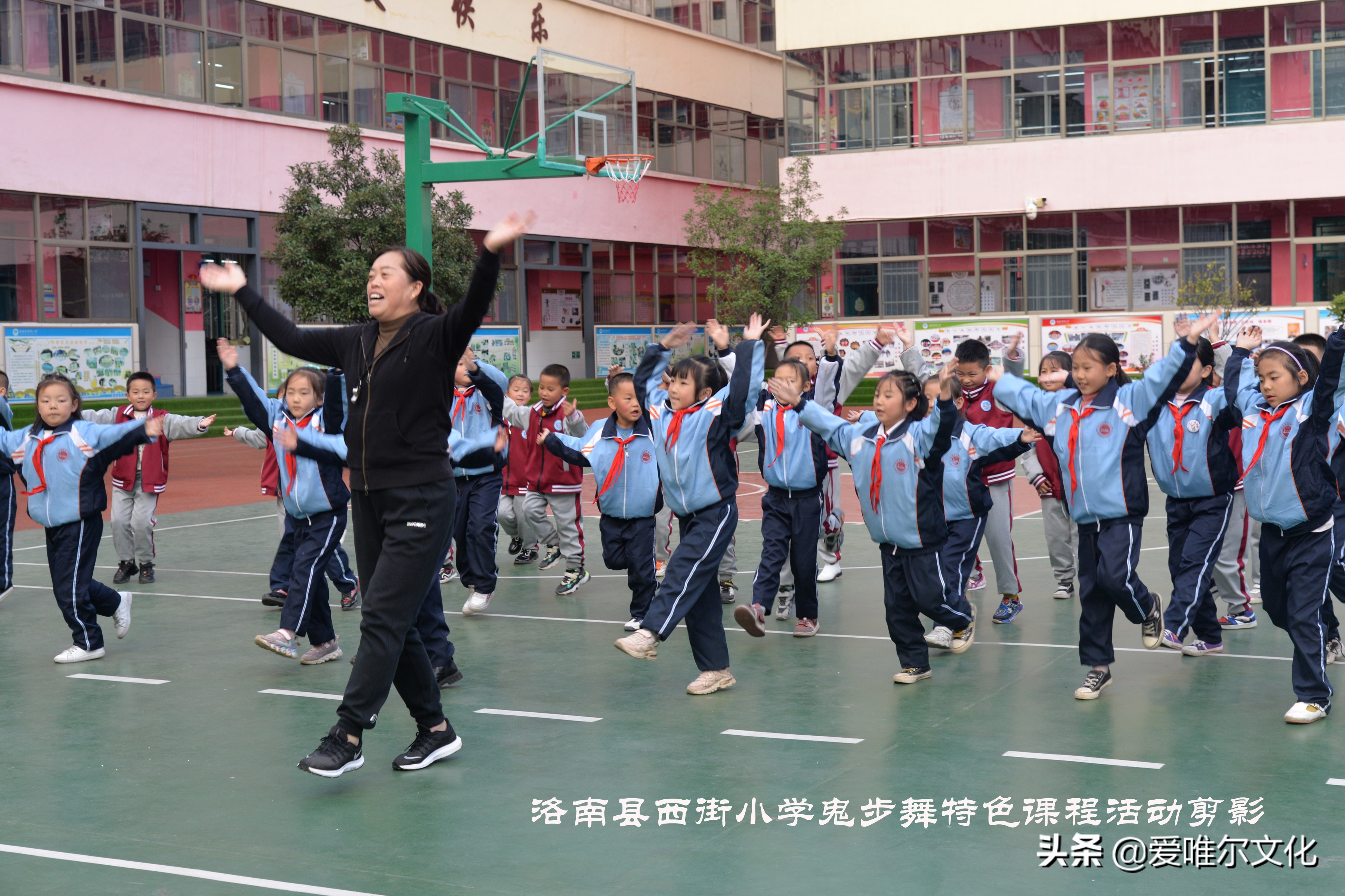 体育社团的概念,有关体育社团活动