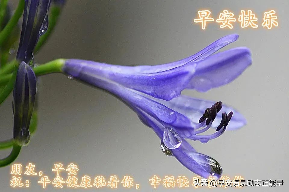 早安语录正能量朋友圈短句子图片,早安语句正能量的句子朋友圈图片