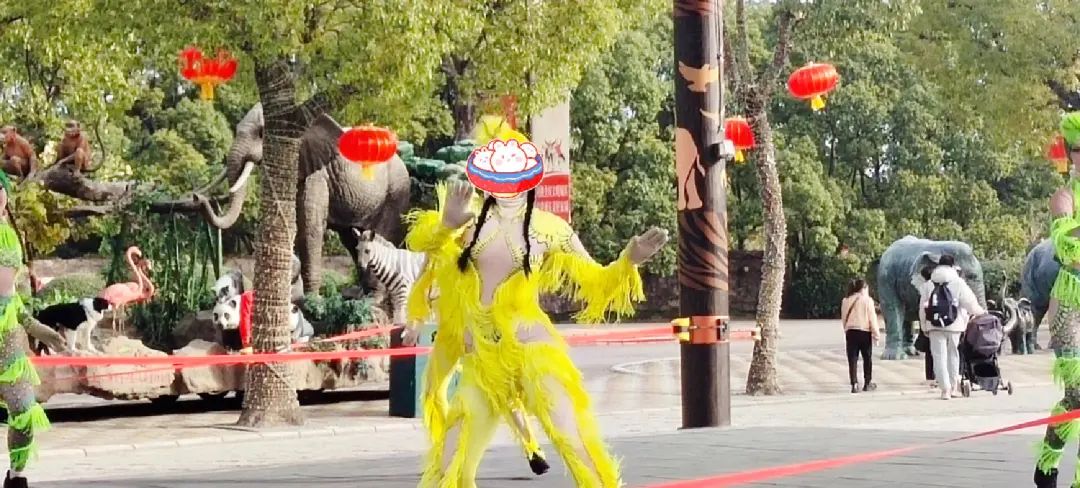 一月份去上海野生动物园和海洋馆,十一带大家去上海野生动物园玩