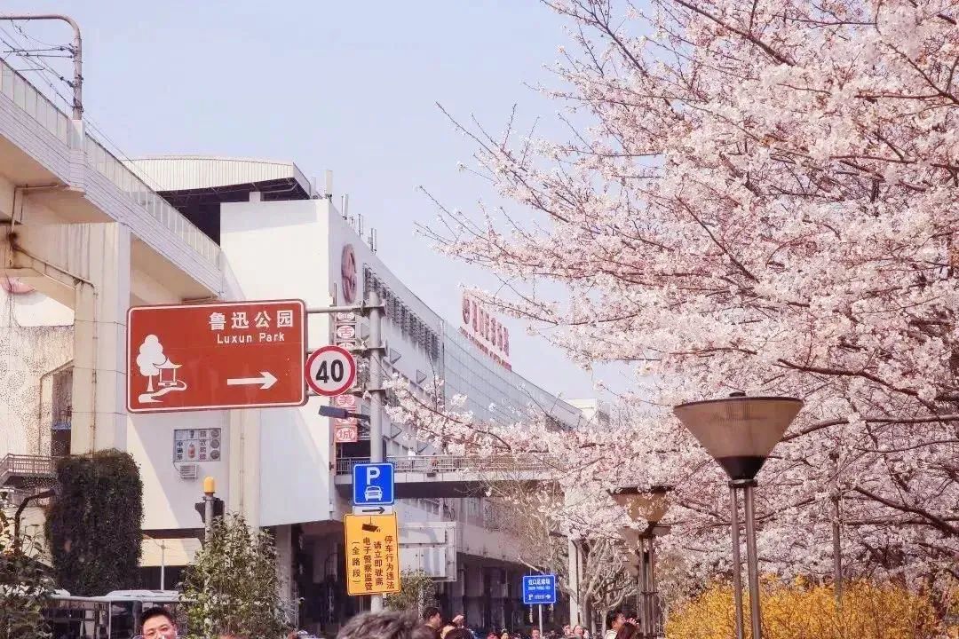 虹口体育场馆,虹口体育场旅游集散中心