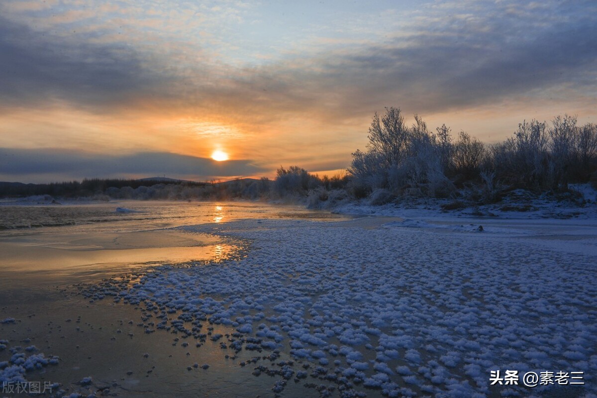 女作家去做保姆和雇主过招,女作家去做保姆982集