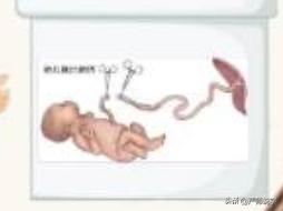 汉字偏旁部首大全及名称表打印,汉字的偏旁部首大全完整版pdf