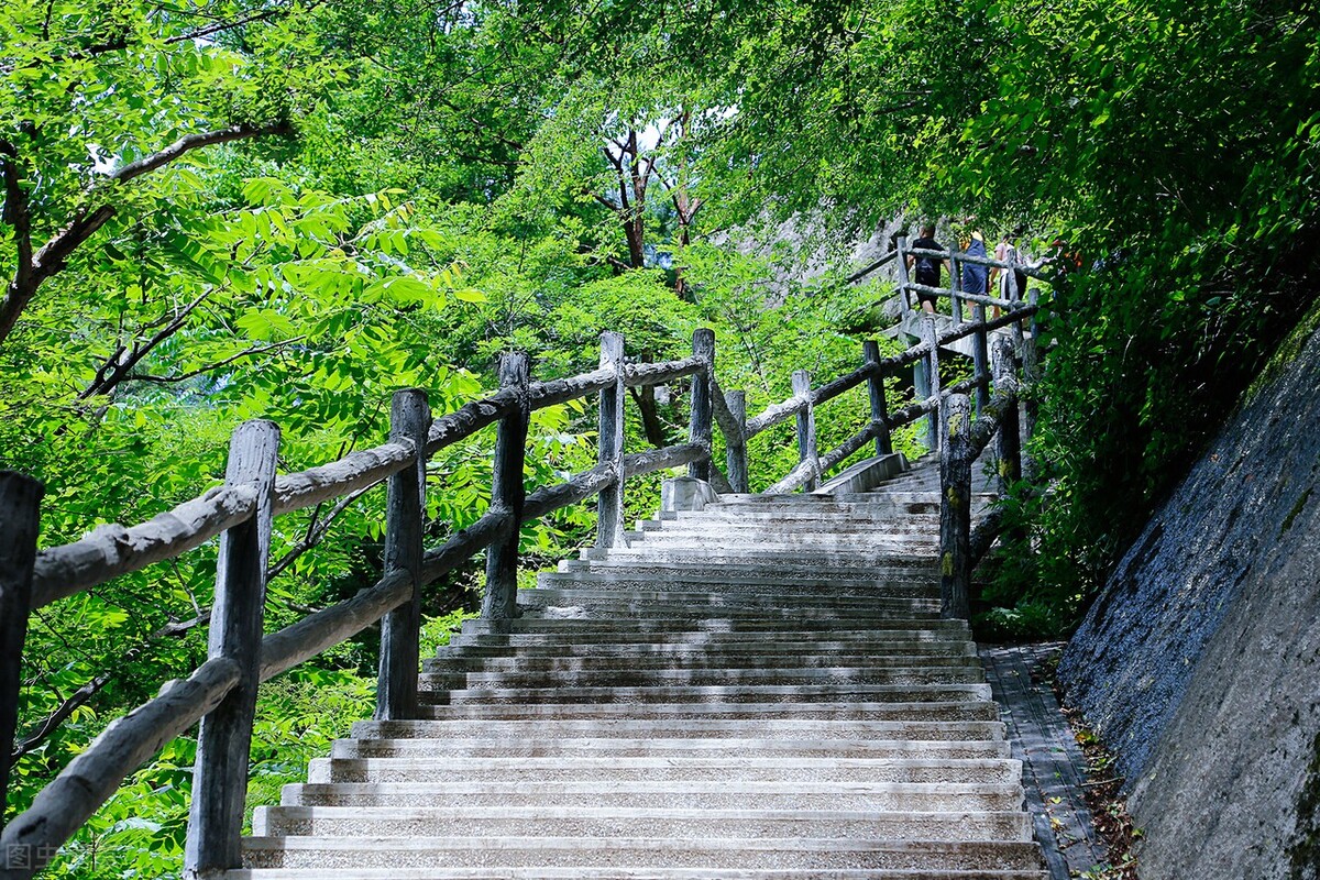 酷狗酷我qq音乐网易云音乐哪个好,qq音乐网易音乐酷狗酷我哪个好