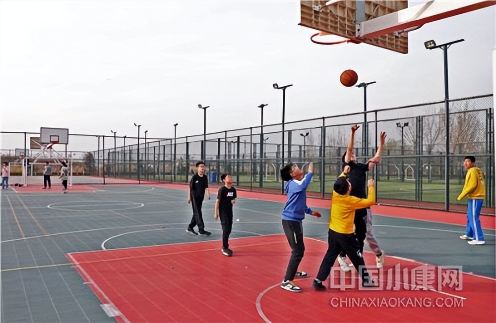 天津市乡村振兴典型案例,小村大事免费阅读