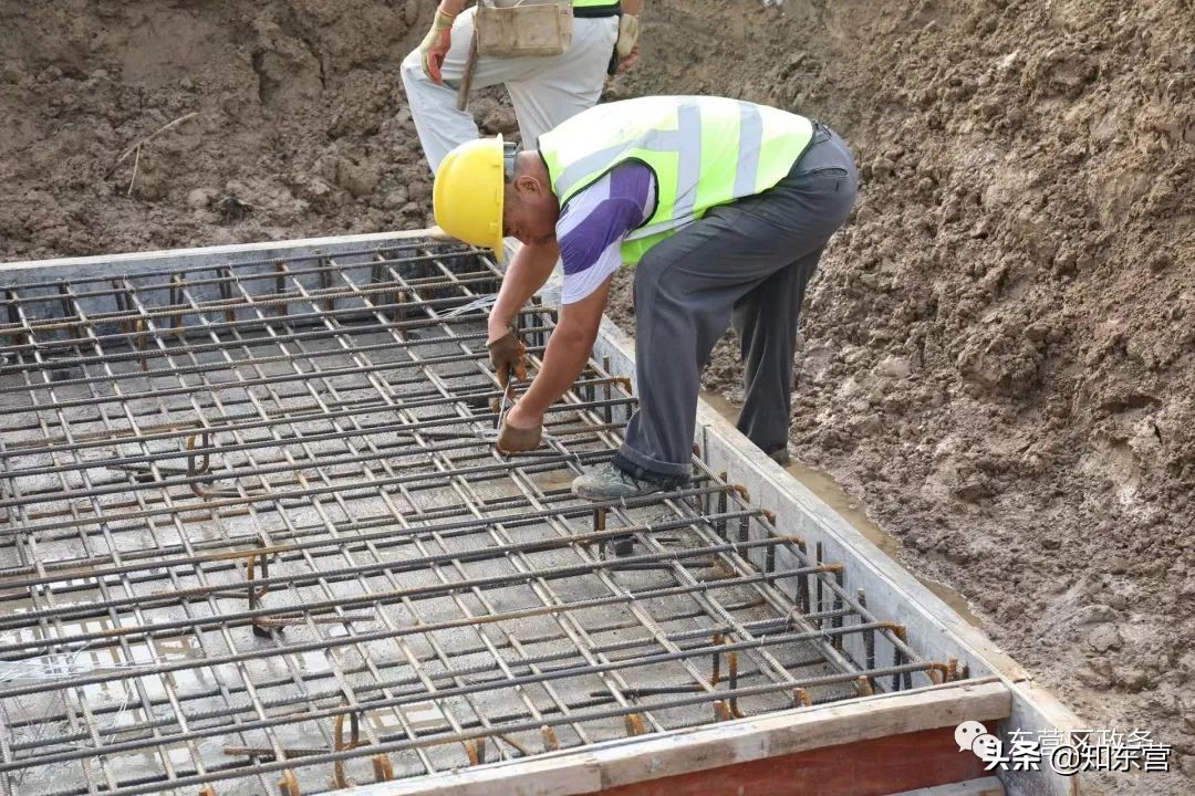 东营泮水公园火爆,东营泮水公园有植物吗