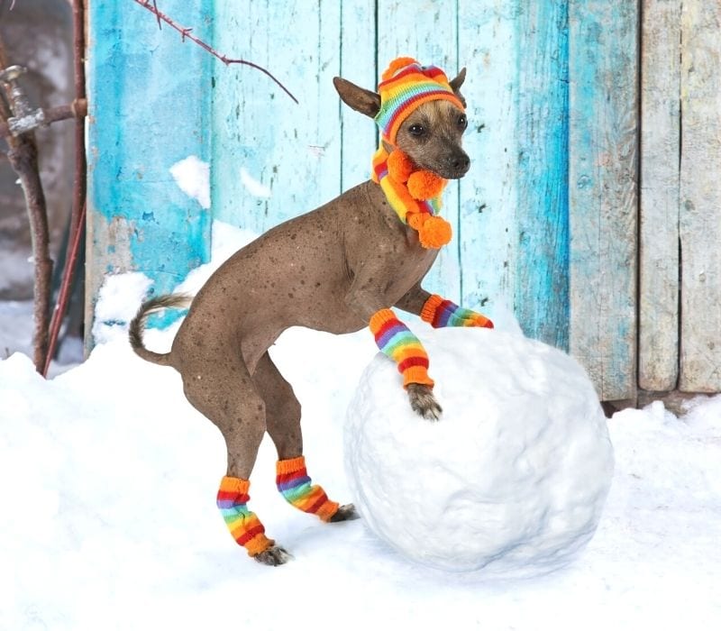 墨西哥冷知识100条,墨西哥风俗冷知识