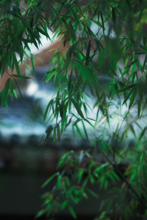 夏日随笔经典散文,夏日暖心的散文