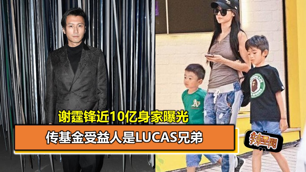 谢霆锋有多暖心,谢霆锋到底爱不爱张柏芝