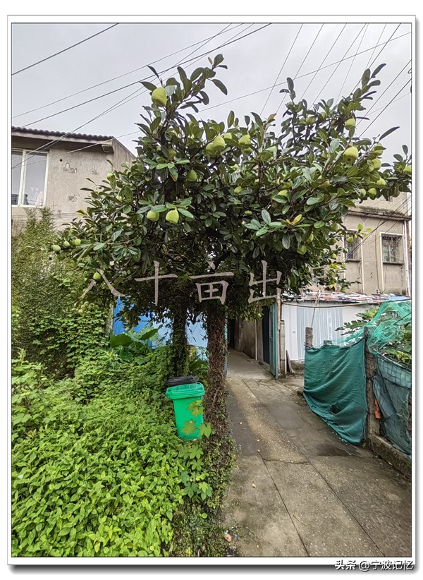 即将消失的依山村(前徐)——宁波市北仑区小港街道