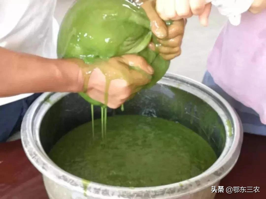 桑叶豆腐可以用黑凉粉一起做吗,农村做桑叶豆腐制作过程视频