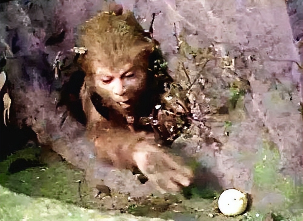 西游记原著弼马温,弼马温为何老被嫌弃