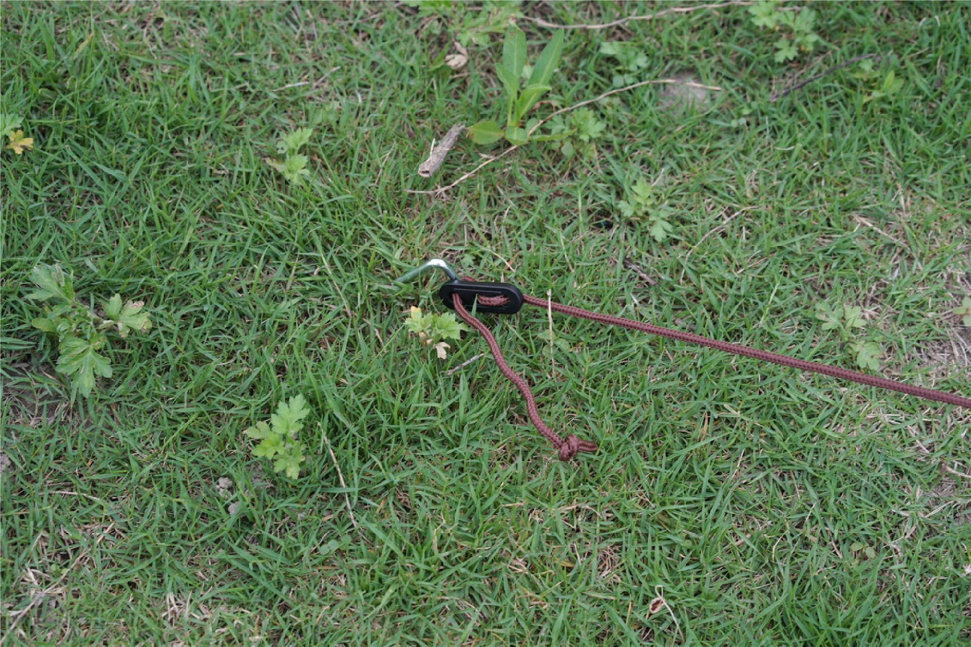 适合新手露营过夜的帐篷,简单露营装备入门推荐品牌