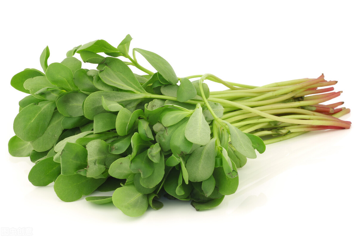 糜烂性胃炎？病根在肠道！仲景名方，清热养血，肠胃都安稳，收藏