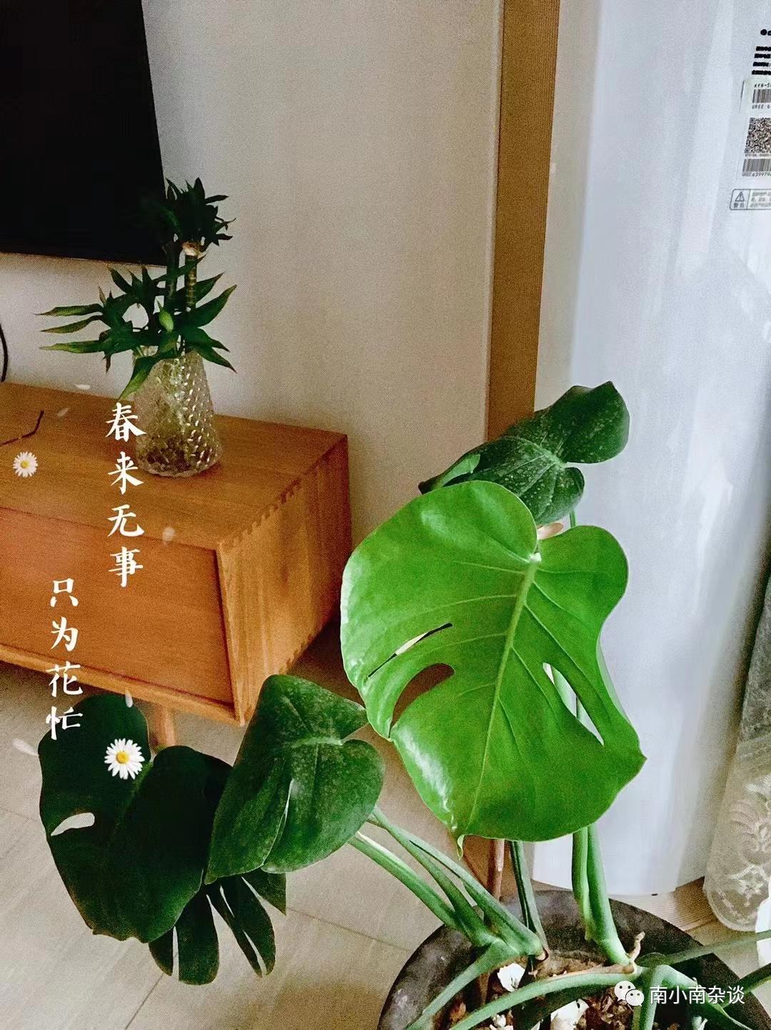 成年人的生活仪式感都是自己给的,生活需要仪式感矫情一下又老一岁