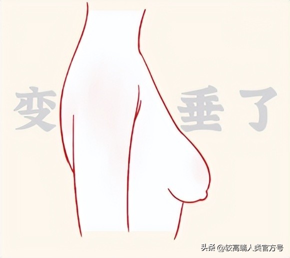 孕期胸时软时硬怎么回事,有的胸软有的胸硬