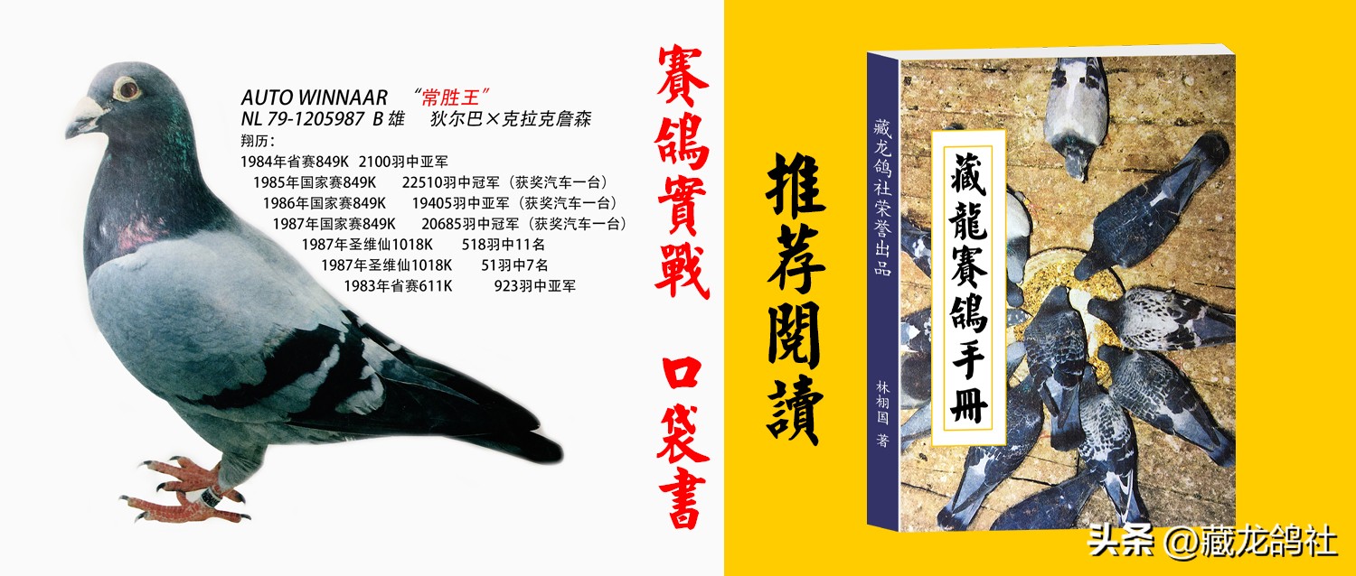 当杨登元走宝之后——“坏脚雌”和“牛皮阿倪”的故事