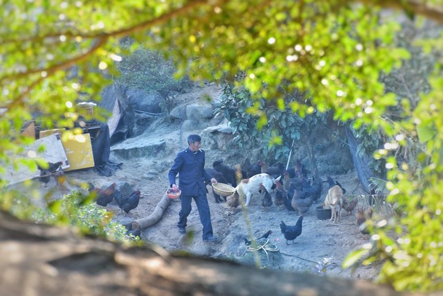 在台湾生活是什么感觉,在台湾生活幸福指数高吗