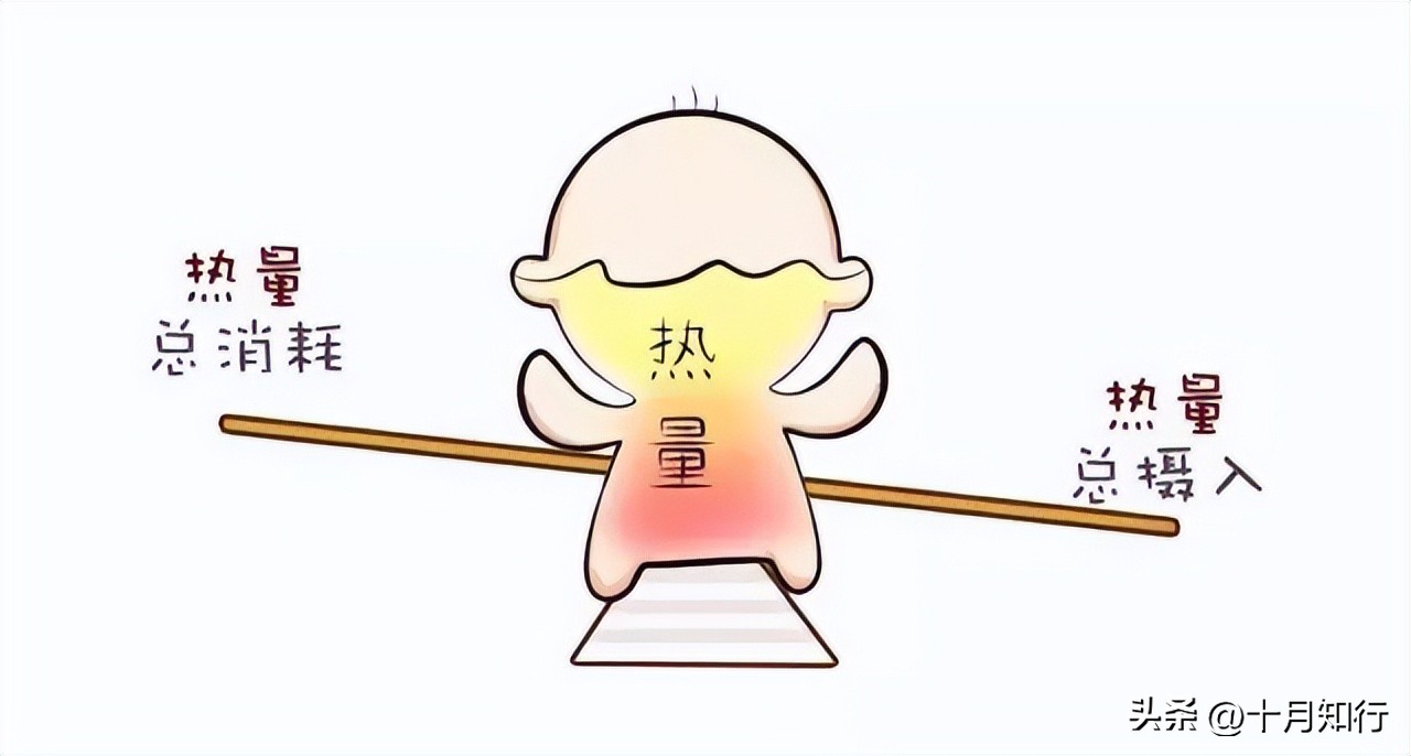 为何节食减肥比运动减肥减得快,到底节食减肥还是健康减肥