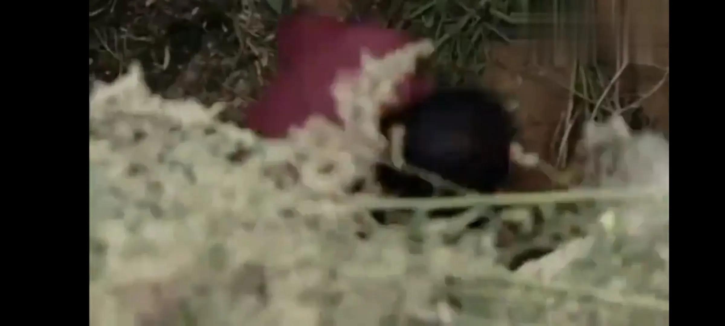 母爱有多伟大能让人起死回生,母爱很伟大吗